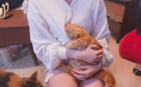 セクシー衣装でゆっくり雑談♡見せつけ♡ – 20221122