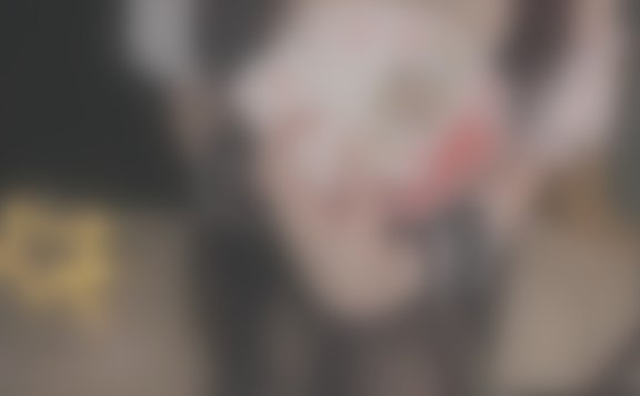 ♥カメラ枠ASMR♥(最初少し無料)*情ロリバニーガールと夜のギャンブルしませんか？ ear licking _귀 핥기_舔耳_耳舐め – 20230331